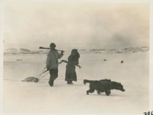 Image: Bringing in a seal (Kavavou and Pitseolak Ashoona]